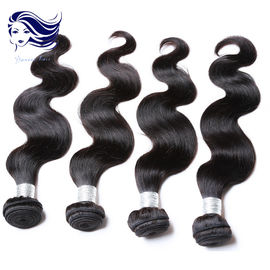 China Micro Weave encaracolado de trama do cabelo humano do negro como o azeviche do cabelo do Virgin da categoria 6A fornecedor